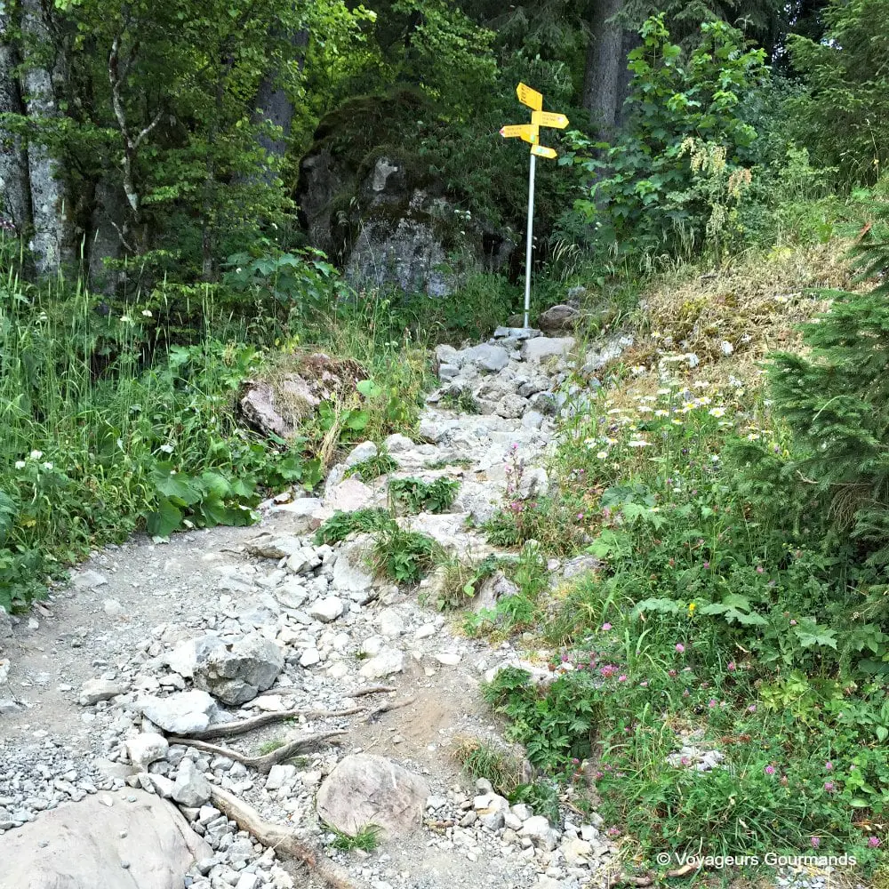 randonnée au lac de taney