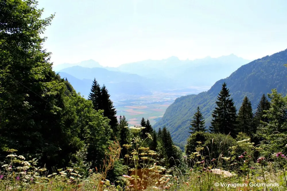 randonnée au lac de taney