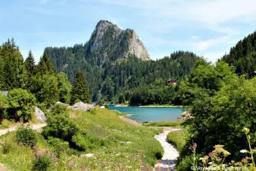 randonnee au lac de taney 8