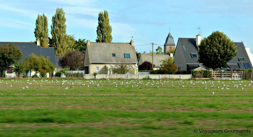 route de la baie