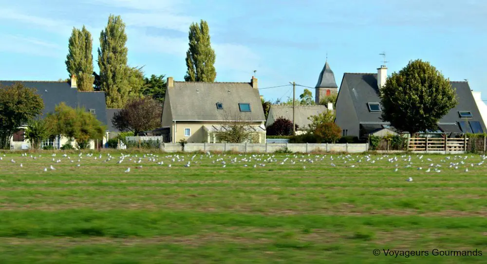 route de la baie