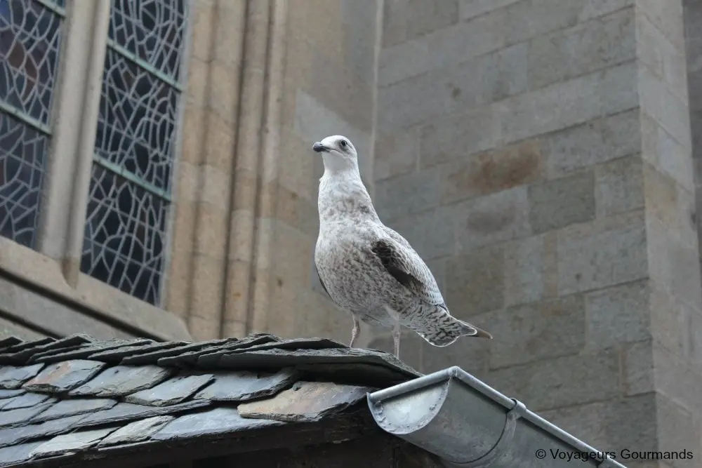 saint malo19