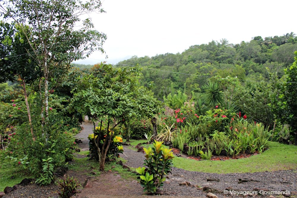 voyage en martinique 11