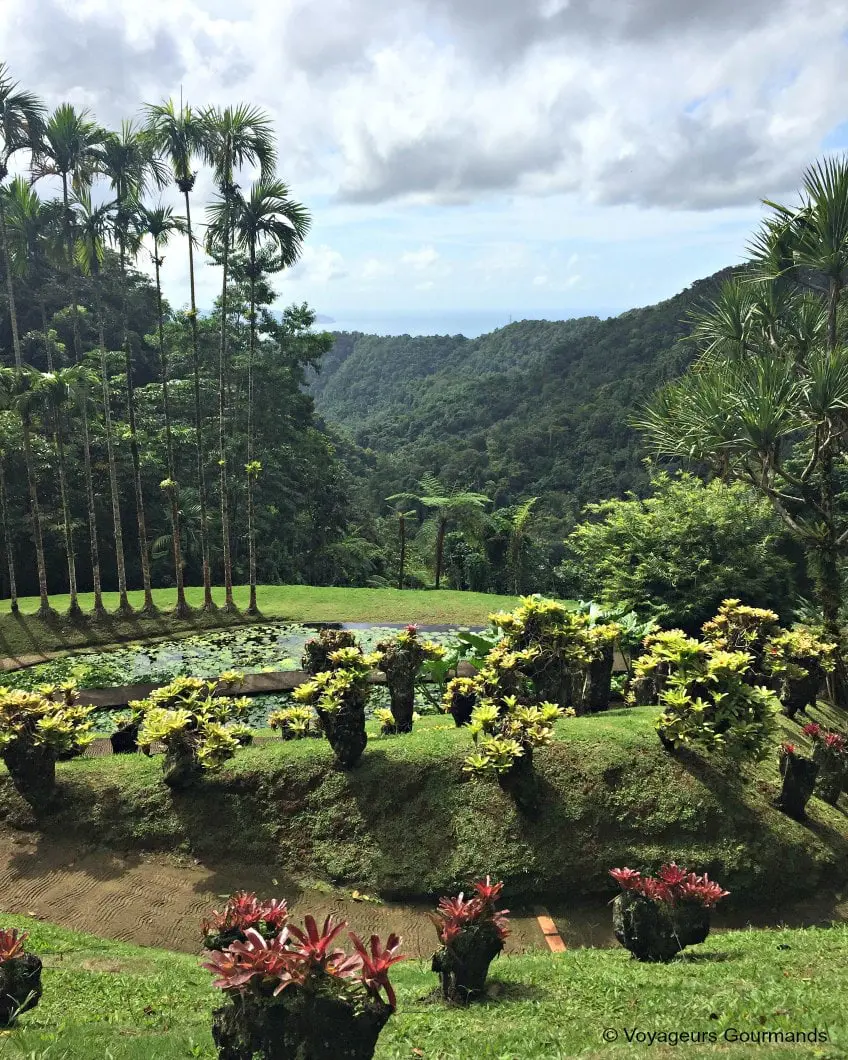 voyage en martinique 14