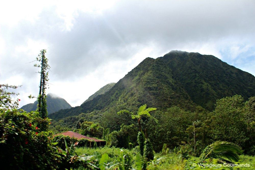 voyage en martinique 16