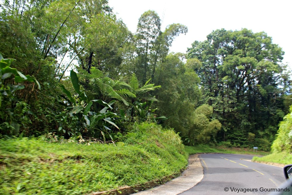voyage en martinique 17