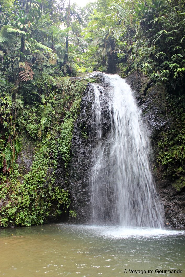 voyage en martinique 18