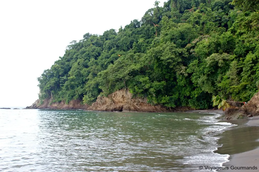 voyage en martinique 19