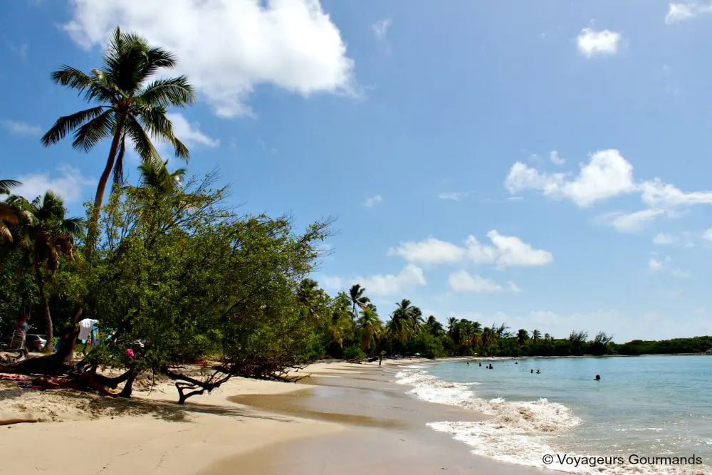 voyage en martinique 21