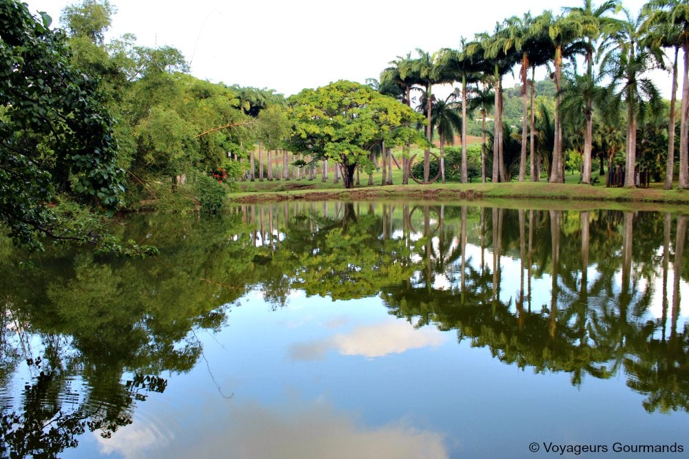 voyage en martinique 22