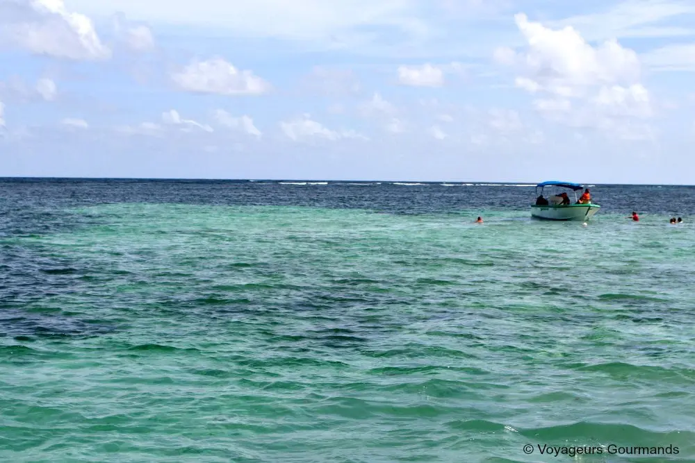 voyage en martinique 26