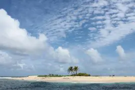 voyage en martinique 27