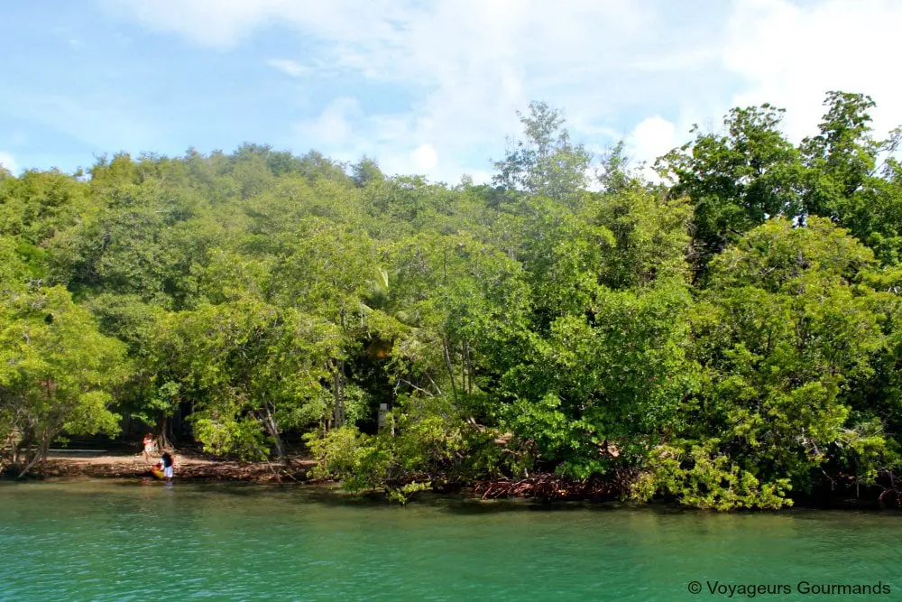 voyage en martinique 28