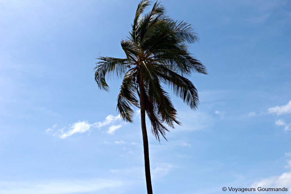 voyage en martinique 35