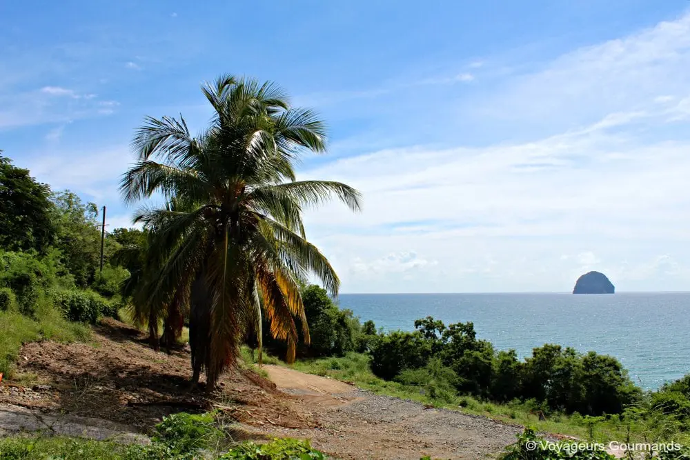 voyage en martinique 5