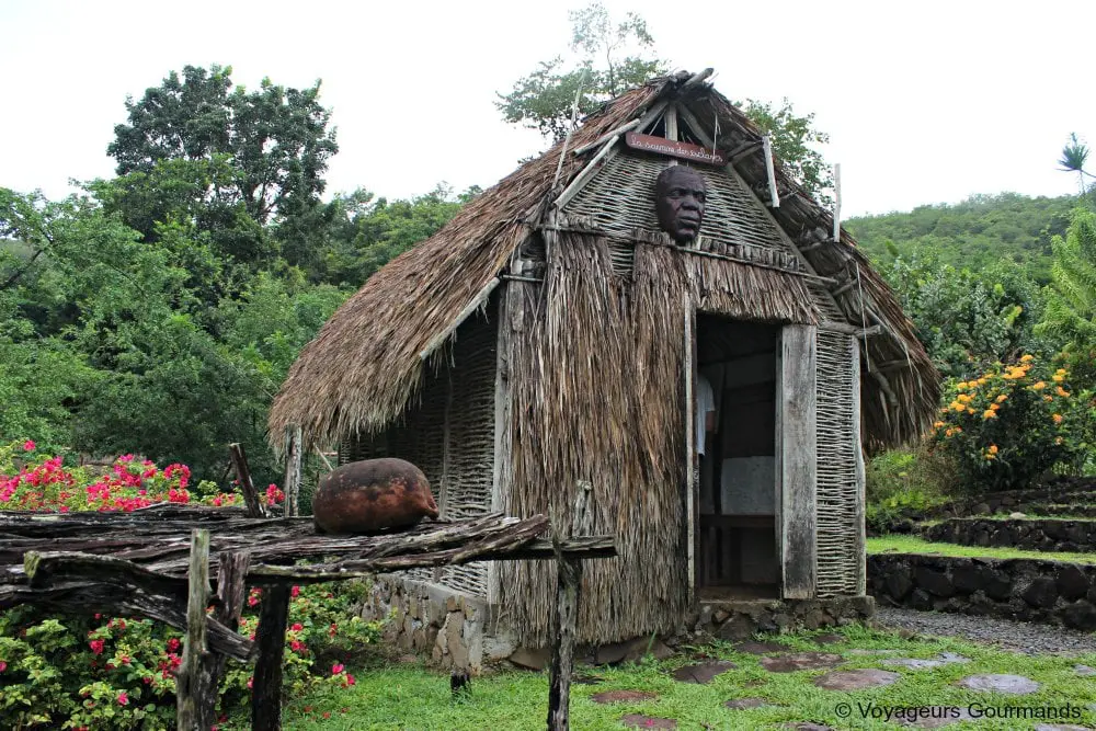 voyage en martinique 9