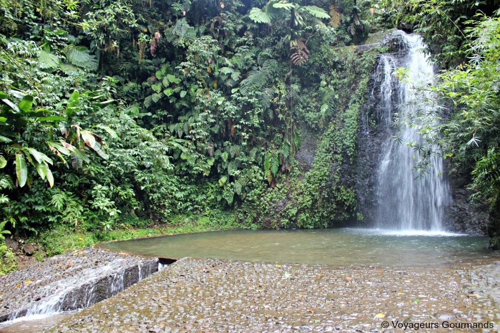 Nord de la martinique 11