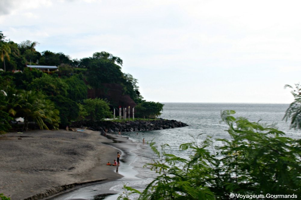 Nord de la martinique 15