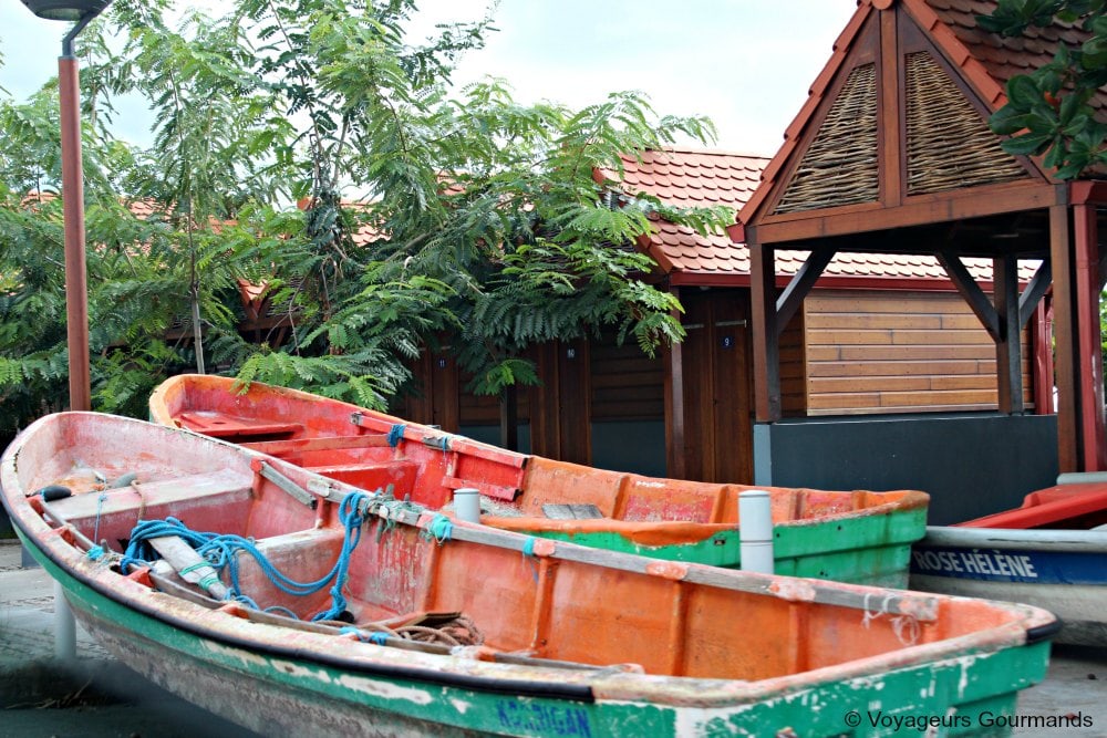 Nord de la martinique 16