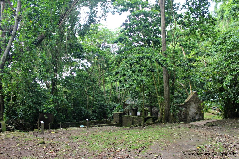 Nord de la martinique 18