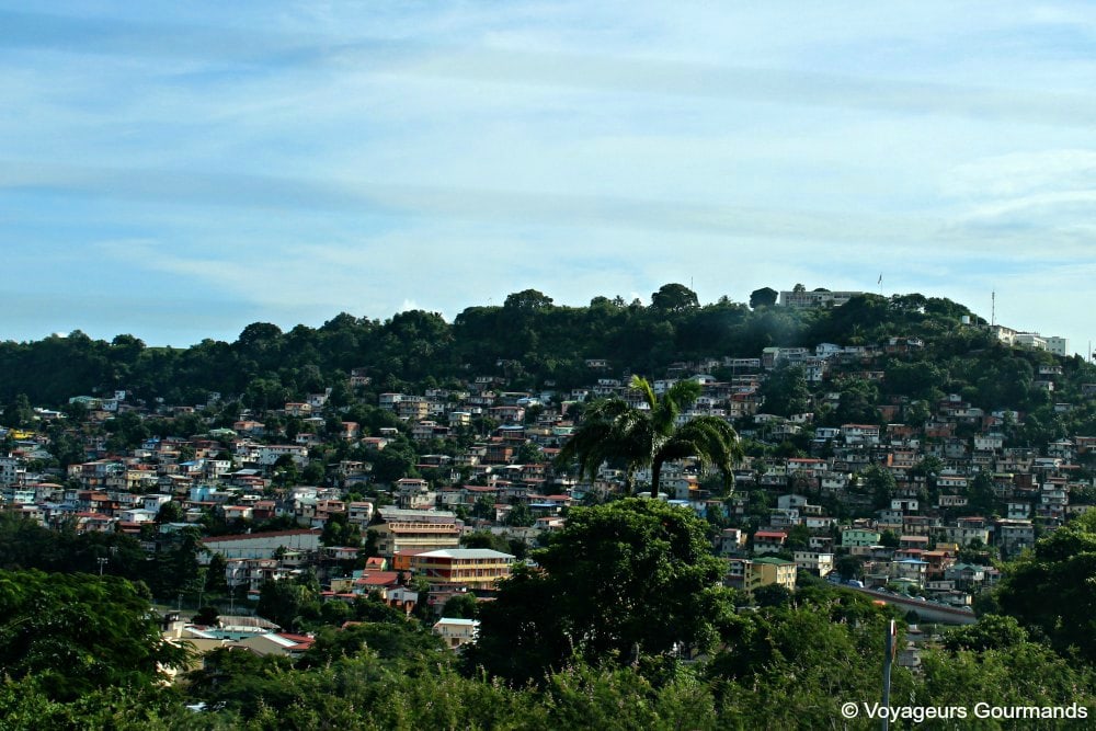 Nord de la martinique 5