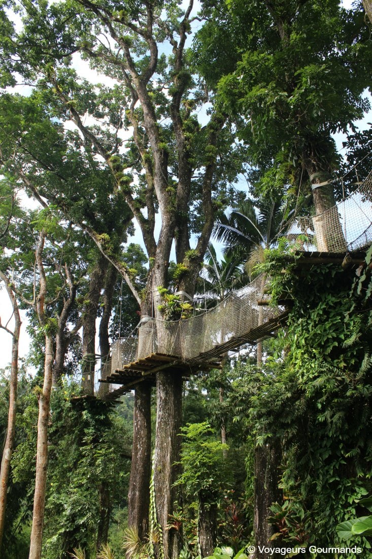 Nord de la martinique 9