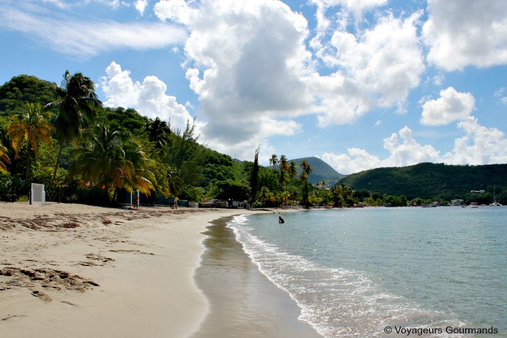 Plage de Martinique 1