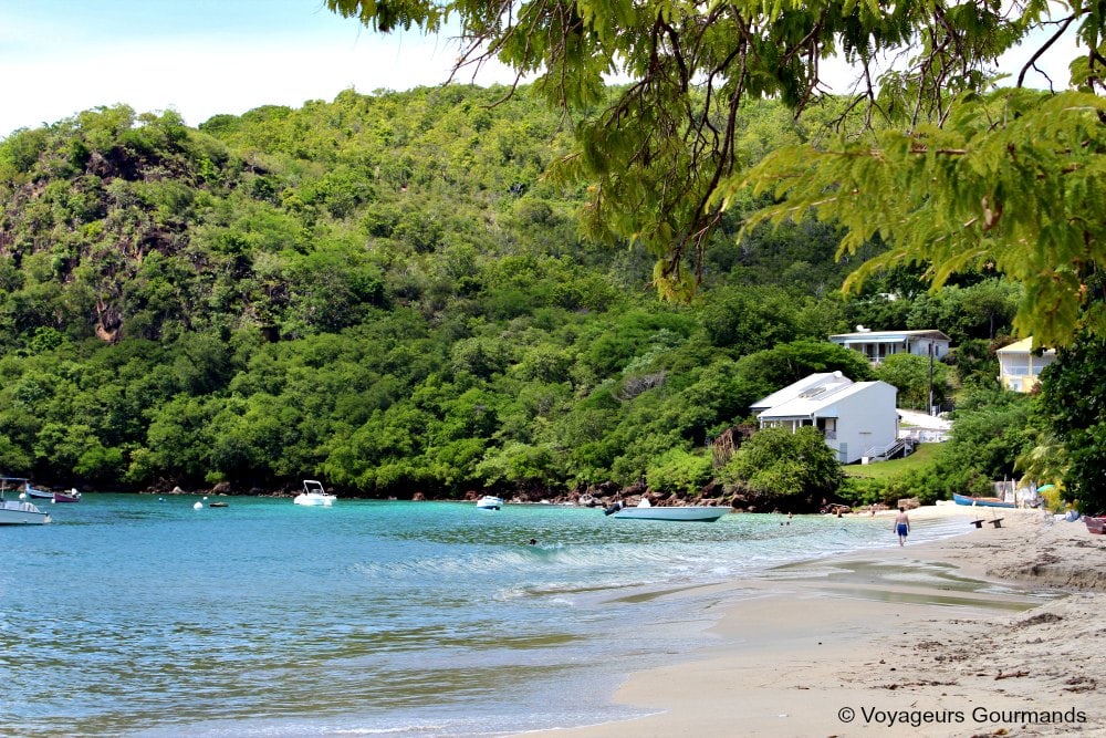 Plage de Martinique 15