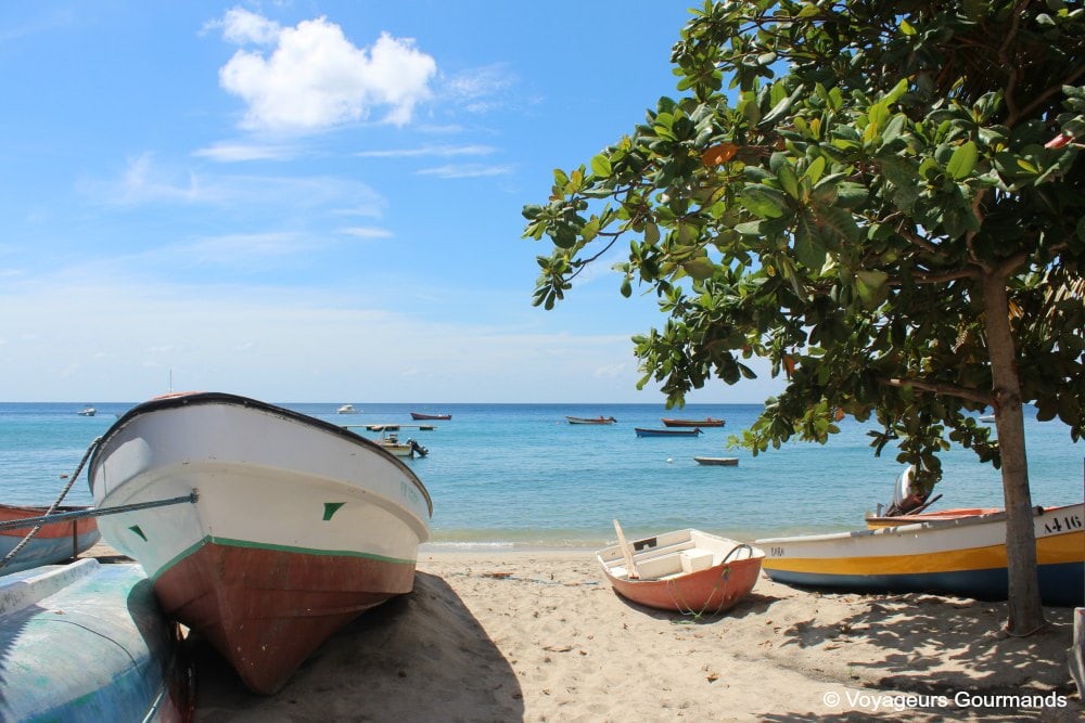 Plage de Martinique 16