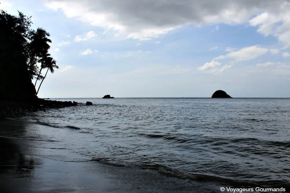 Plage de Martinique 19