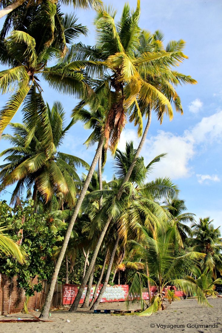 Plage de Martinique 22