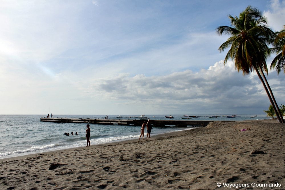 Plage de Martinique 23