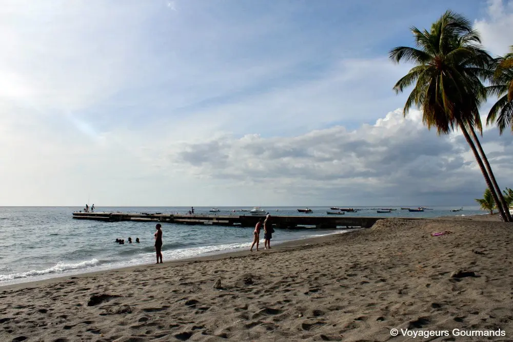 Plage de Martinique 23