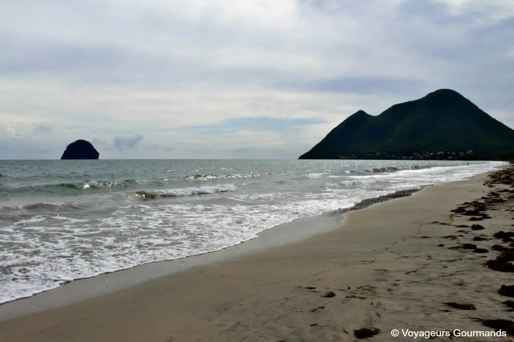 Plage de Martinique 26