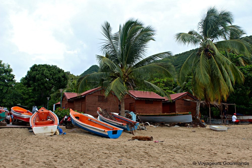Plage de Martinique 5