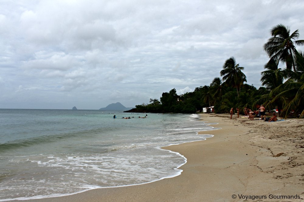 Plage de Martinique 7