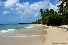 Plage de Martinique 9