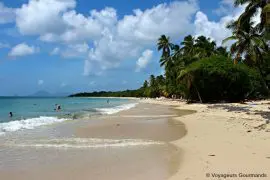Plage de Martinique 9
