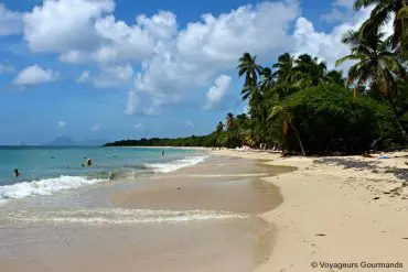 Plage de Martinique 9