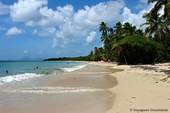 Plage de Martinique 9