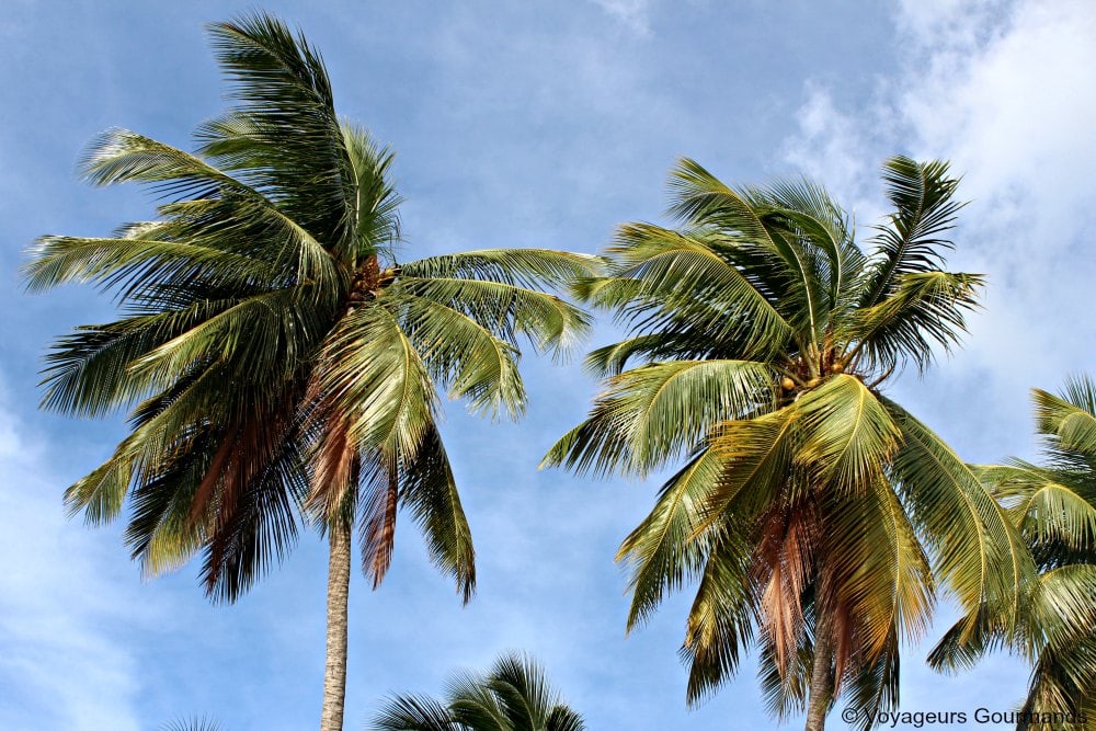 Plage de Martinique