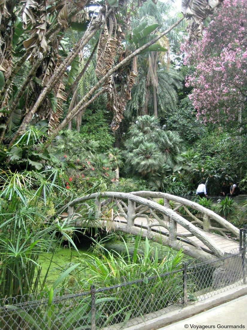 jardin d'essai du hamma