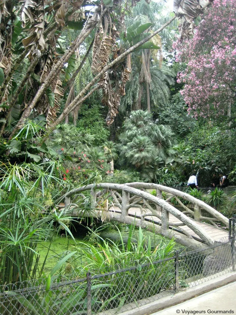 jardin dessai du hamma 11