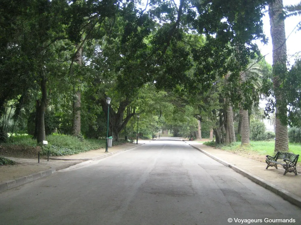 jardin dessai du hamma 16