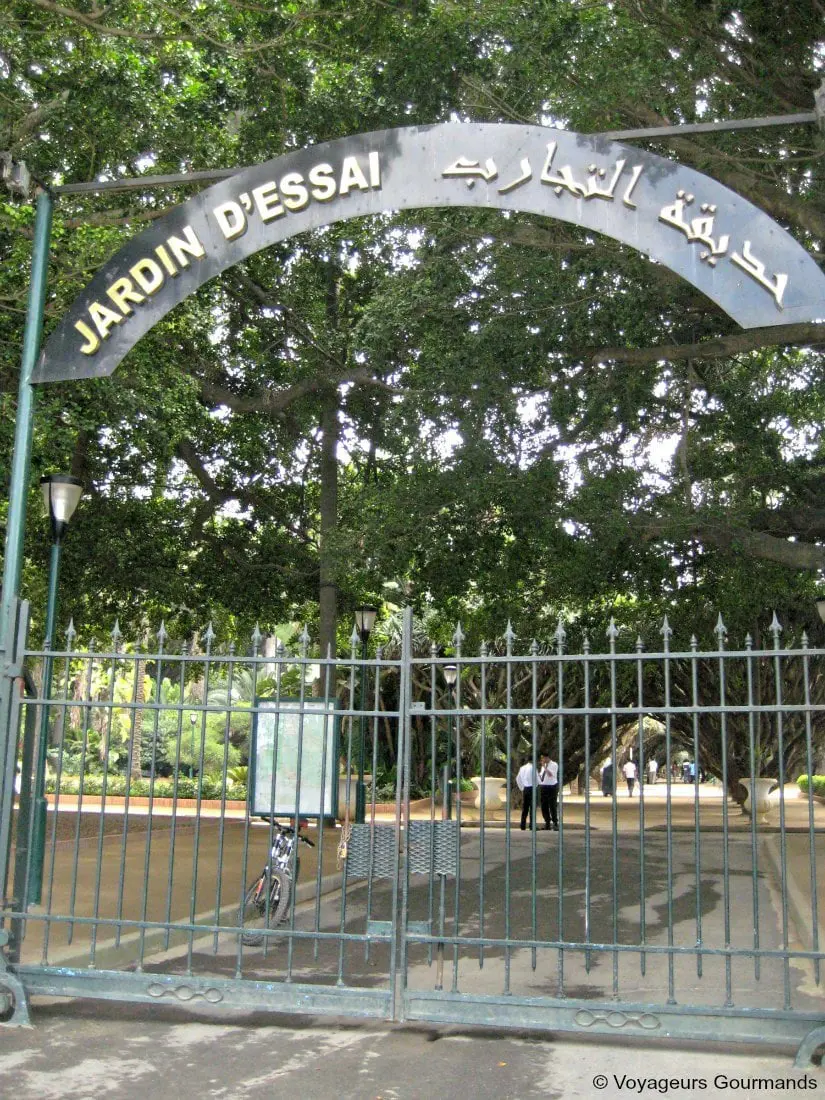 jardin dessai du hamma 2