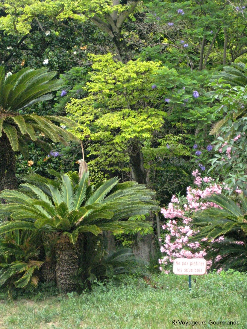 jardin d'essai du hamma