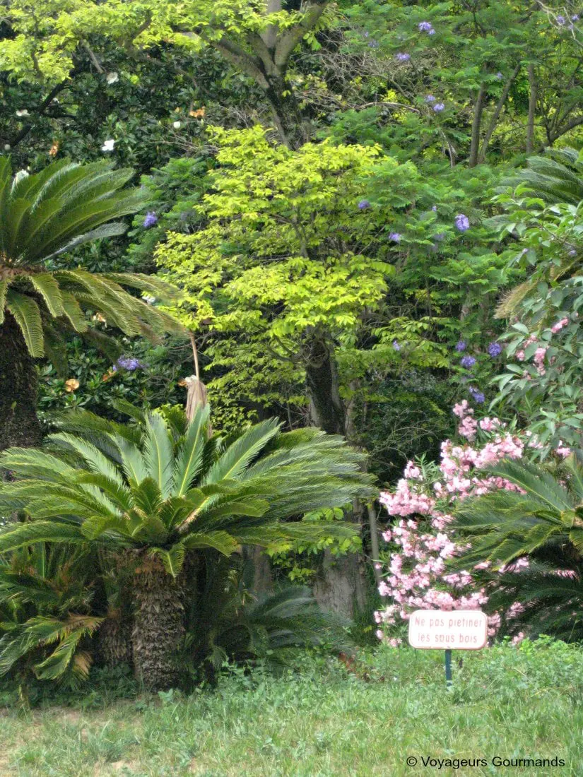 jardin dessai du hamma 20