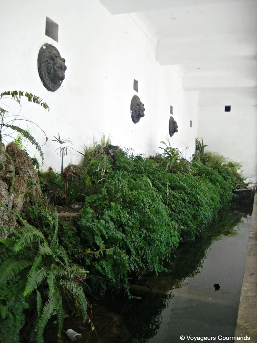 jardin dessai du hamma 21