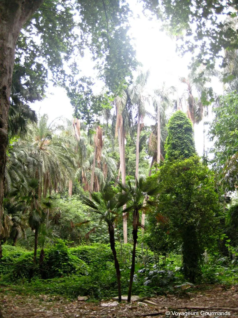 jardin dessai du hamma 24