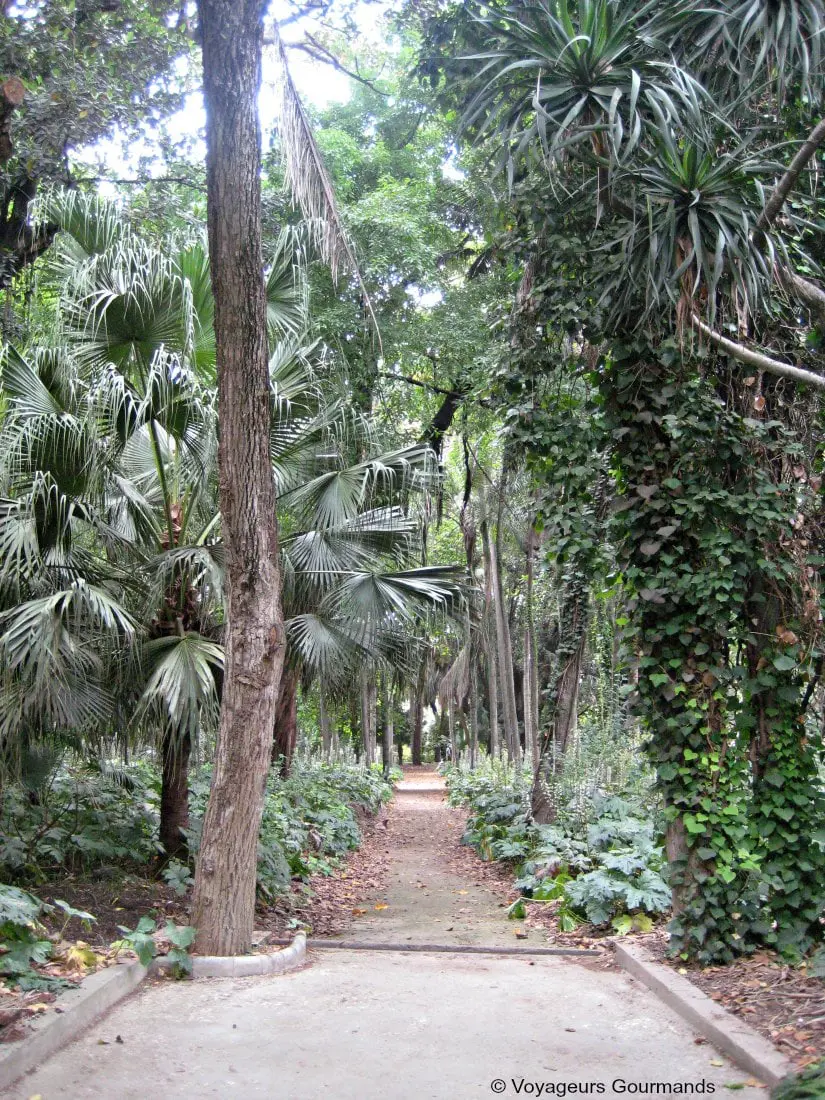 jardin dessai du hamma 27